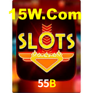 Segurança e privacidade no APP 55B